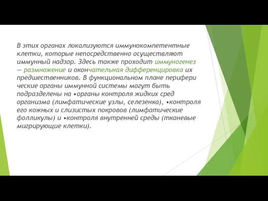 В этих органах локализуются иммунокомпетентные клетки, которые непосредственно осуществляют иммунный надзор. Здесь также