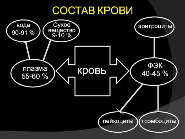 СОСТАВ КРОВИ