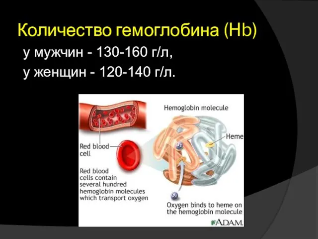 Количество гемоглобина (Hb) у мужчин - 130-160 г/л, у женщин - 120-140 г/л.