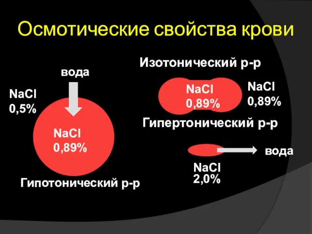 Осмотические свойства крови Изотонический р-р Гипертонический р-р Гипотонический р-р