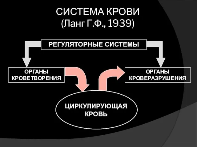 СИСТЕМА КРОВИ (Ланг Г.Ф., 1939)