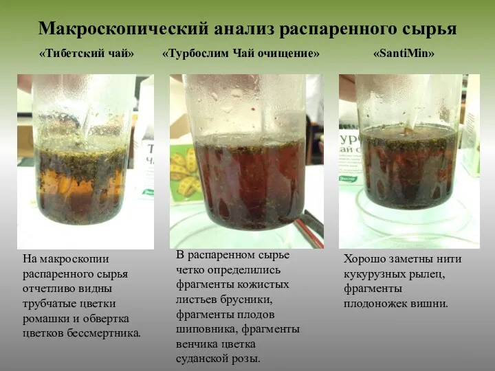 Макроскопический анализ распаренного сырья На макроскопии распаренного сырья отчетливо видны трубчатые цветки ромашки