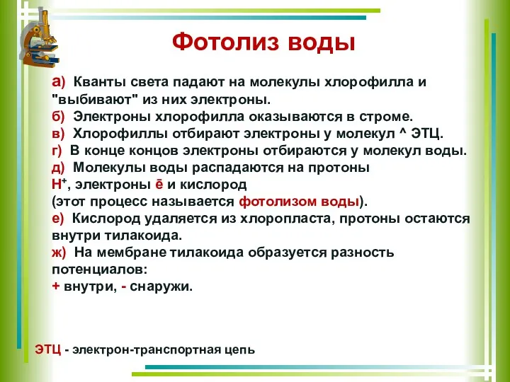 а) Кванты света падают на молекулы хлорофилла и "выбивают" из