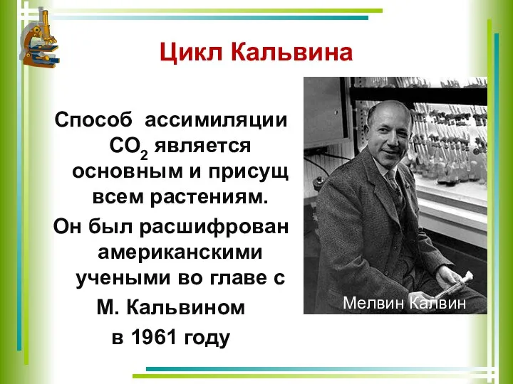 Цикл Кальвина Способ ассимиляции СО2 является основным и присущ всем