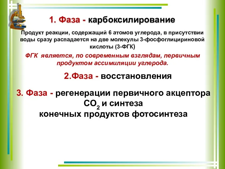 1. Фаза - карбоксилирование Продукт реакции, содержащий 6 атомов углерода,