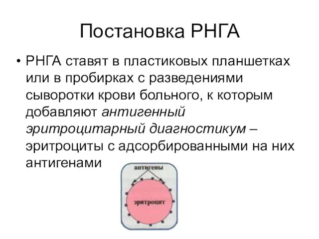 Постановка РНГА РНГА ставят в пластиковых планшетках или в пробирках