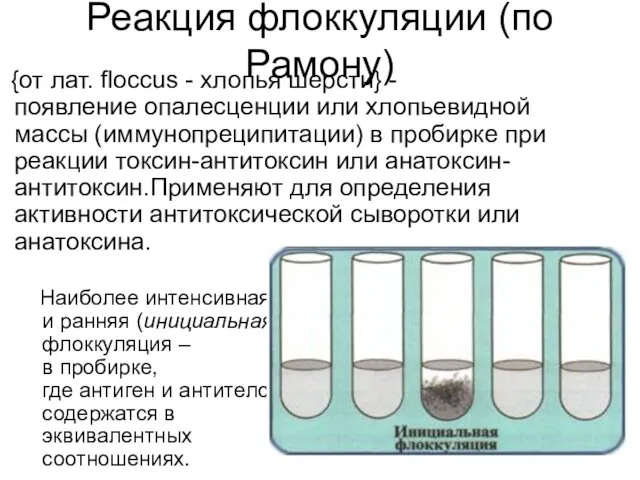 Реакция флоккуляции (по Рамону) {от лат. floccus - хлопья шерсти}