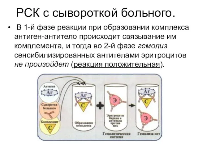 РСК с сывороткой больного. В 1-й фазе реакции при образовании