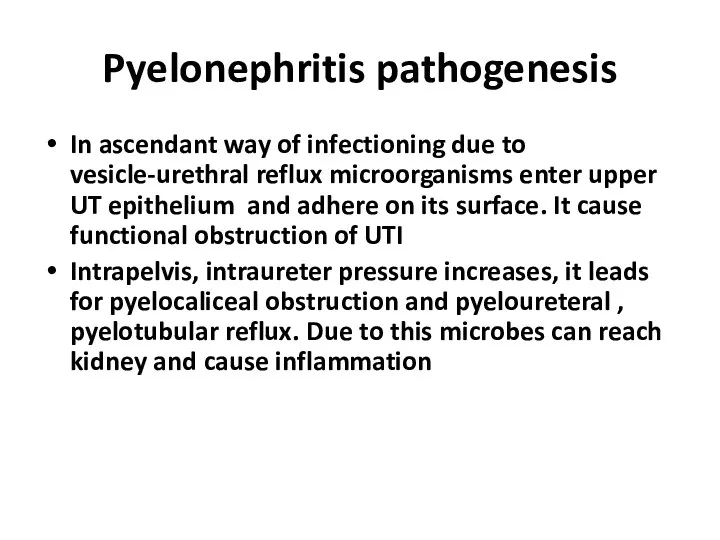 Pyelonephritis pathogenesis In ascendant way of infectioning due to vesicle-urethral reflux microorganisms enter