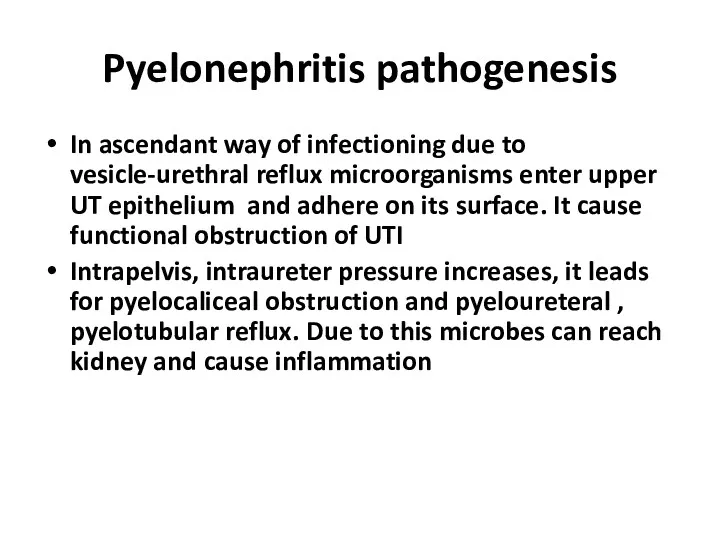 Pyelonephritis pathogenesis In ascendant way of infectioning due to vesicle-urethral