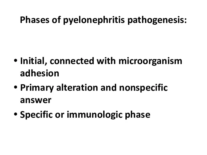 Phases of pyelonephritis pathogenesis: Initial, connected with microorganism adhesion Primary alteration and nonspecific