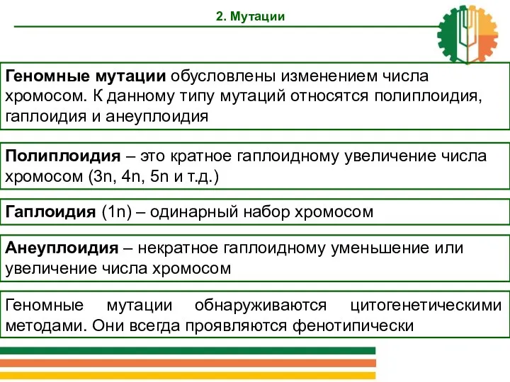 2. Мутации Геномные мутации обусловлены изменением числа хромосом. К данному