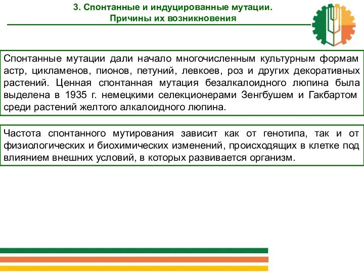 3. Спонтанные и индуцированные мутации. Причины их возникновения Спонтанные мутации