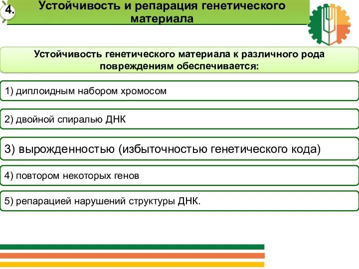 Устойчивость генетического материала к различного рода повреждениям обеспечивается: 1) диплоидным