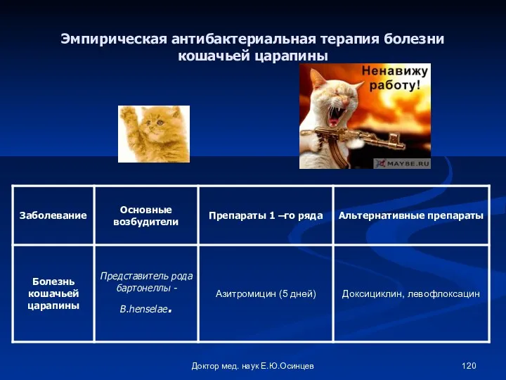 Доктор мед. наук Е.Ю.Осинцев Эмпирическая антибактериальная терапия болезни кошачьей царапины