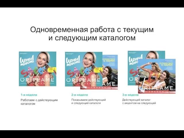 Одновременная работа с текущим и следующим каталогом 1-я неделя Работаем