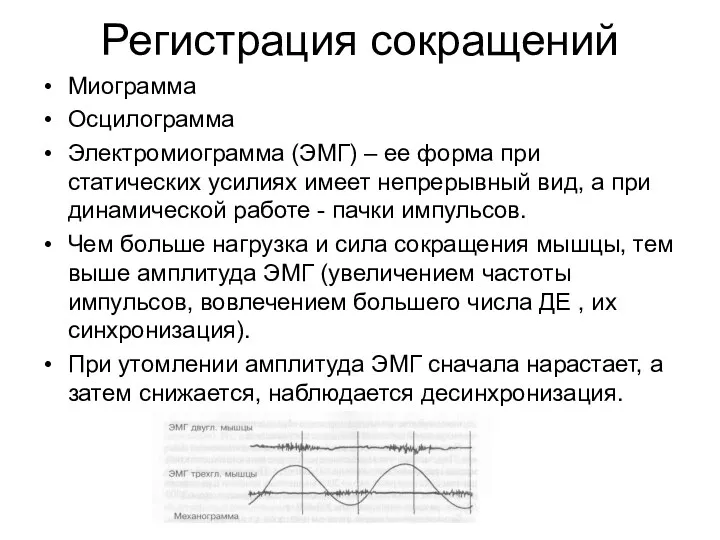 Регистрация сокращений Миограмма Осцилограмма Электромиограмма (ЭМГ) – ее форма при