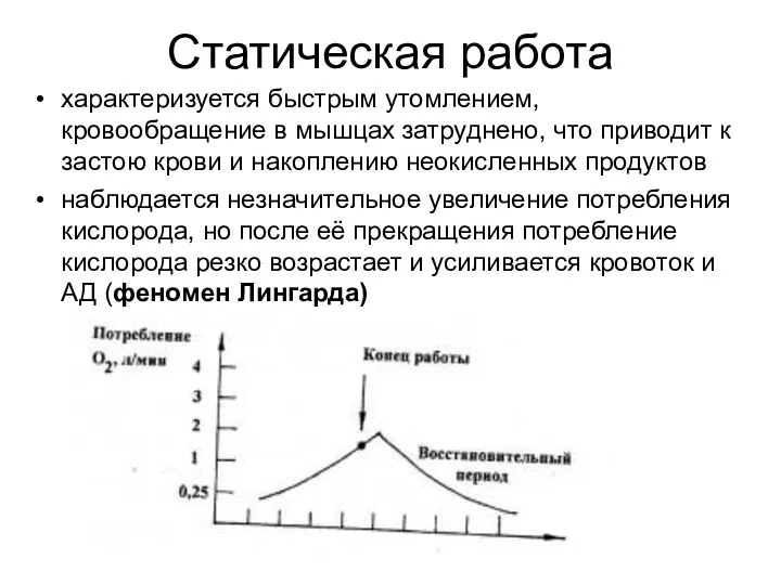 Статическая работа характеризуется быстрым утомлением, кровообращение в мышцах затруднено, что