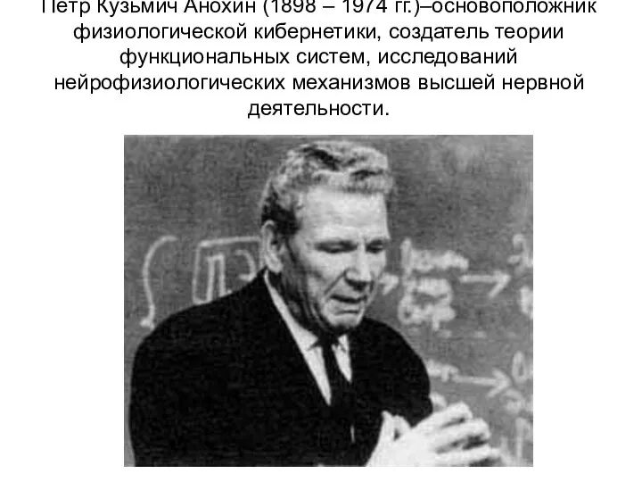 Пётр Кузьмич Анохин (1898 – 1974 гг.)–основоположник физиологической кибернетики, создатель теории функциональных систем,