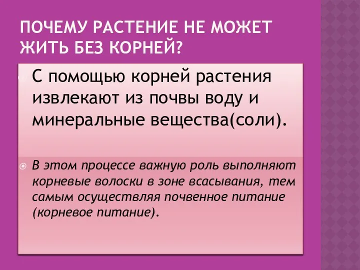 ПОЧЕМУ РАСТЕНИЕ НЕ МОЖЕТ ЖИТЬ БЕЗ КОРНЕЙ? С помощью корней