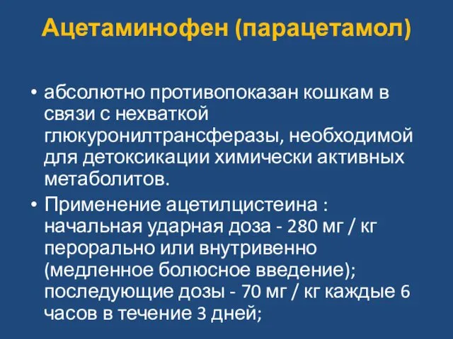 Ацетаминофен (парацетамол) абсолютно противопоказан кошкам в связи с нехваткой глюкуронилтрансферазы,