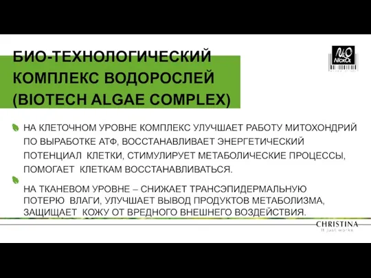 НА КЛЕТОЧНОМ УРОВНЕ КОМПЛЕКС УЛУЧШАЕТ РАБОТУ МИТОХОНДРИЙ ПО ВЫРАБОТКЕ АТФ,