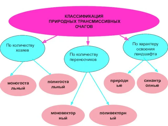 КЛАССИФИКАЦИЯ ПРИРОДНЫХ ТРАНСМИССИВНЫХ ОЧАГОВ По количеству хозяев По количеству переносчиков