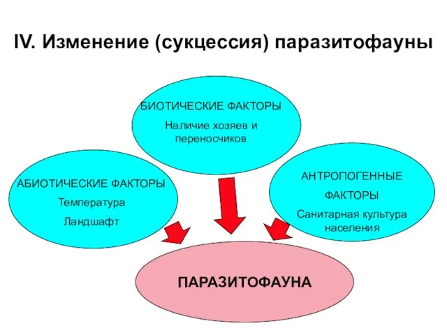 IV. Изменение (сукцессия) паразитофауны ПАРАЗИТОФАУНА АБИОТИЧЕСКИЕ ФАКТОРЫ Температура Ландшафт БИОТИЧЕСКИЕ