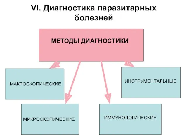 VI. Диагностика паразитарных болезней МЕТОДЫ ДИАГНОСТИКИ МАКРОСКОПИЧЕСКИЕ МИКРОСКОПИЧЕСКИЕ ИММУНОЛОГИЧЕСКИЕ ИНСТРУМЕНТАЛЬНЫЕ