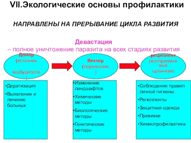 VII.Экологические основы профилактики НАПРАВЛЕНЫ НА ПРЕРЫВАНИЕ ЦИКЛА РАЗВИТИЯ Донор (источник