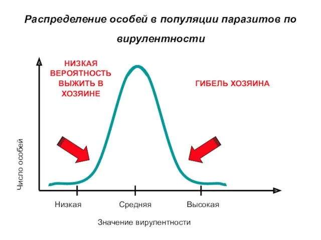 Распределение особей в популяции паразитов по вирулентности ГИБЕЛЬ ХОЗЯИНА НИЗКАЯ ВЕРОЯТНОСТЬ ВЫЖИТЬ В ХОЗЯИНЕ