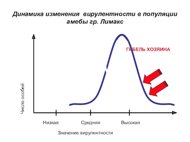 Динамика изменения вирулентности в популяции амебы гр. Лимакс ГИБЕЛЬ ХОЗЯИНА