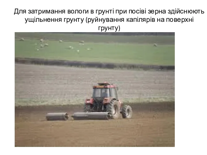 Для затримання вологи в грунті при посіві зерна здійснюють ущільнення грунту (руйнування капілярів на поверхні грунту)