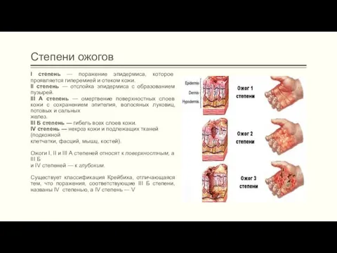 Степени ожогов I степень — поражение эпидермиса, которое проявляется гиперемией