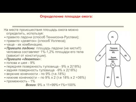 Определение площади ожога: На месте происшествия площадь ожога можно определить,