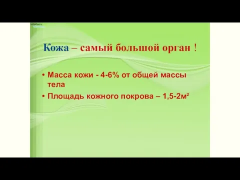 Кожа – самый большой орган ! Масса кожи - 4-6%