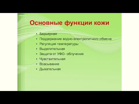 Основные функции кожи Барьерная Поддержание водно-электролитного обмена Регуляция температуры Выделительная