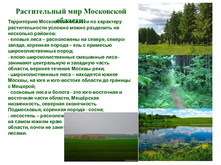Растительный мир Московской области: Территорию Московской области по характеру растительности