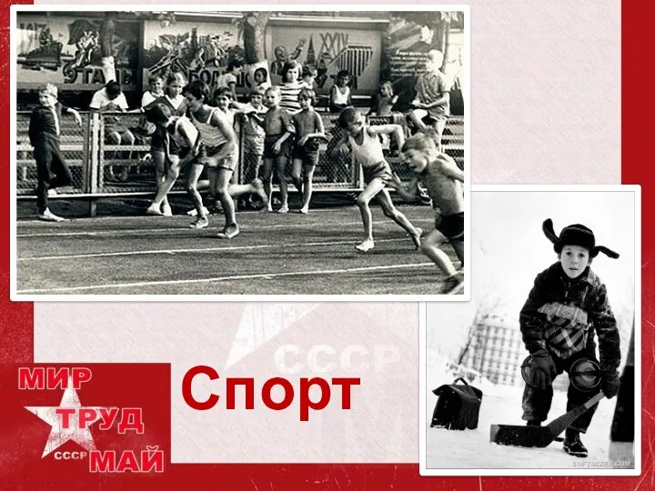 Спорт