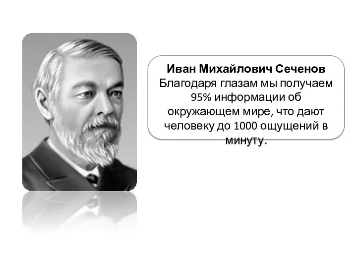 Иван Михайлович Сеченов Благодаря глазам мы получаем 95% информации об окружающем мире, что
