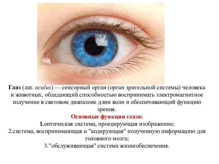 Глаз (лат. oculus) — сенсорный орган (орган зрительной системы) человека и животных, обладающий