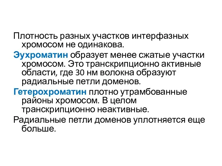 Плотность разных участков интерфазных хромосом не одинакова. Эухроматин образует менее