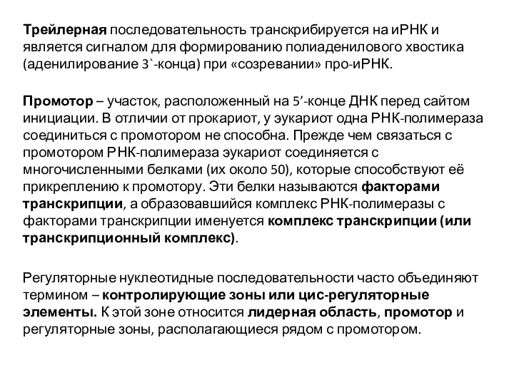 Трейлерная последовательность транскрибируется на иРНК и является сигналом для формированию