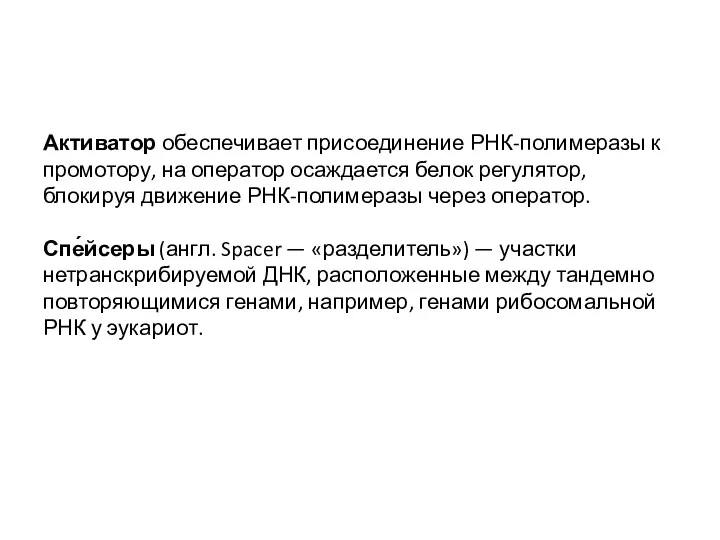 Активатор обеспечивает присоединение РНК-полимеразы к промотору, на оператор осаждается белок