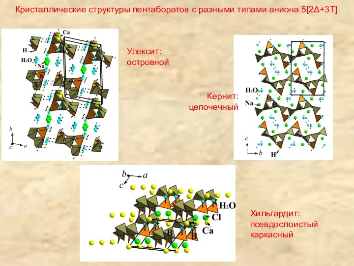 Кристаллические структуры пентаборатов с разными типами аниона 5[2Δ+3T] Улексит: островной Кернит: цепочечный Хильгардит: псевдослоистый каркасный