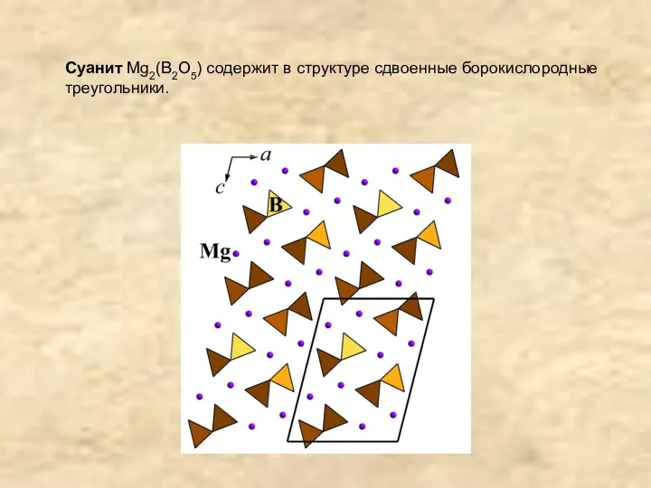 Суанит Mg2(B2O5) содержит в структуре сдвоенные борокислородные треугольники.
