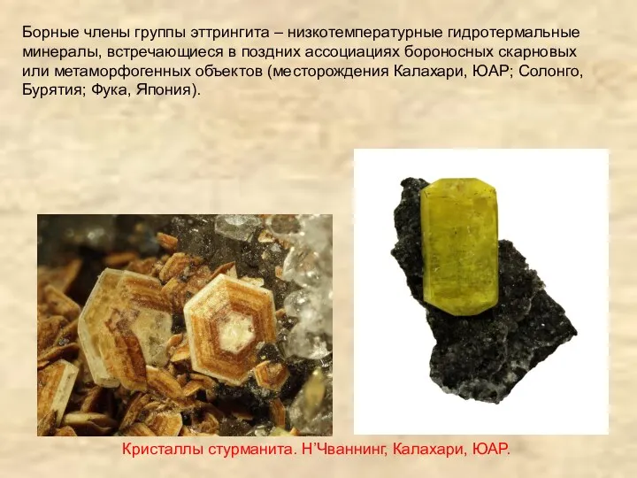 Борные члены группы эттрингита – низкотемпературные гидротермальные минералы, встречающиеся в