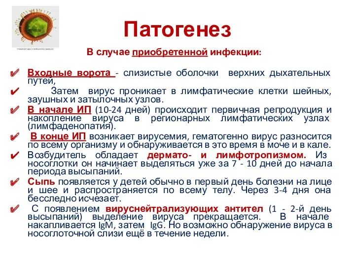 Патогенез В случае приобретенной инфекции: Входные ворота - слизистые оболочки