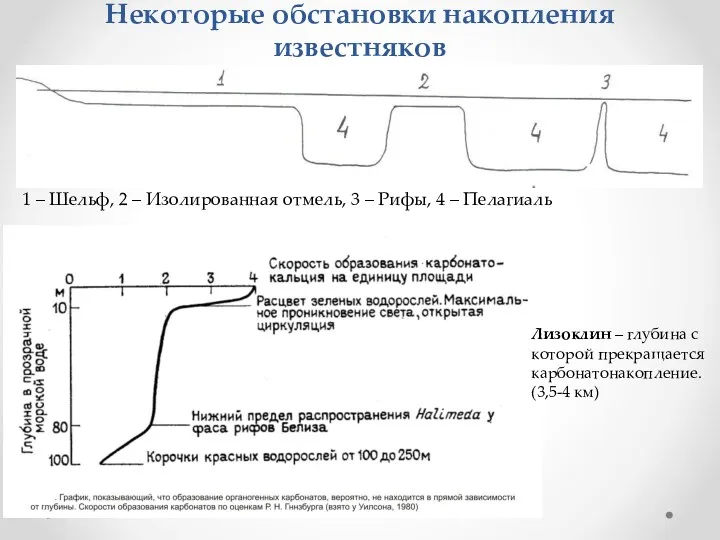 Некоторые обстановки накопления известняков 1 – Шельф, 2 – Изолированная