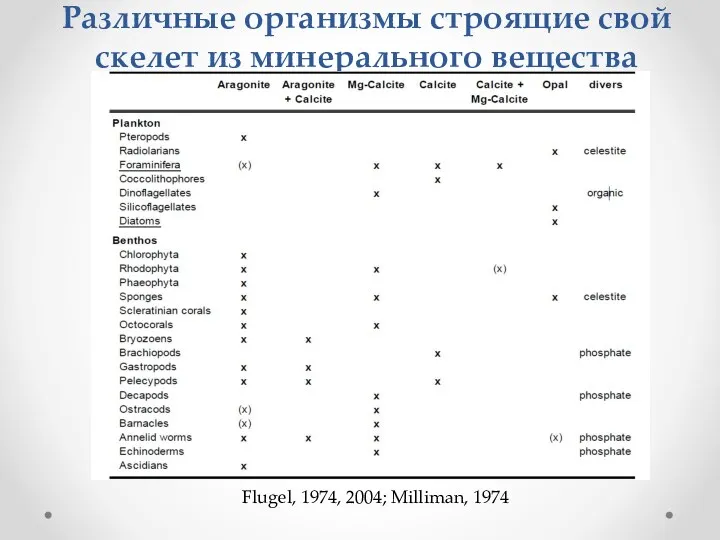 Различные организмы строящие свой скелет из минерального вещества Flugel, 1974, 2004; Milliman, 1974